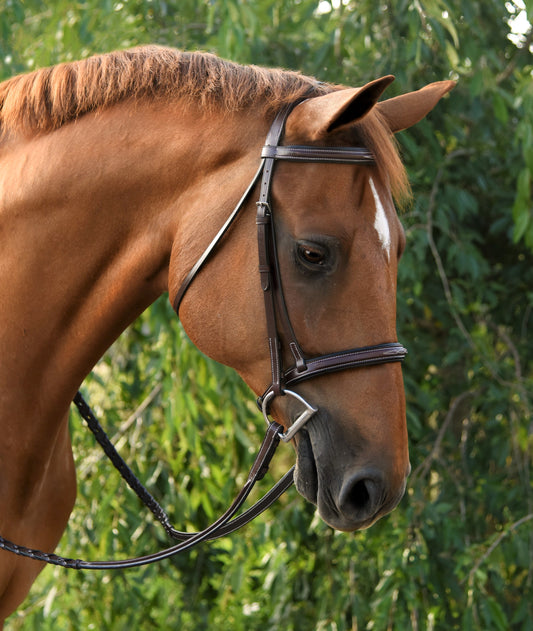 KL Select Icon Bridle